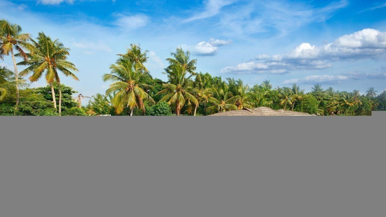 Top Things to Do in Kerala Backwaters with Family