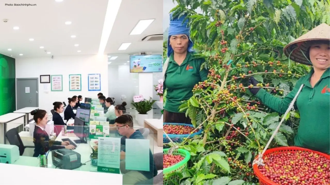 Vietnam's Resolution 79 Revolutionizes Private Sector Engagement
