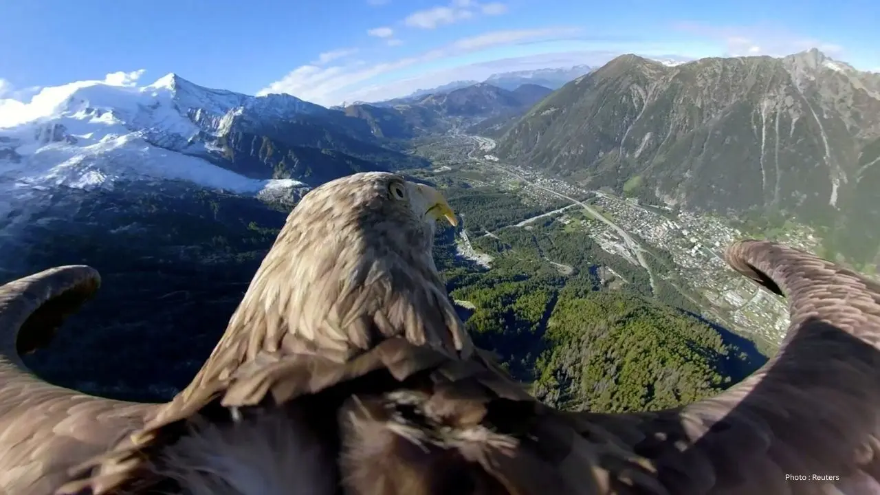 Canada Launches Ambitious $3.8B Nature Protection Initiative