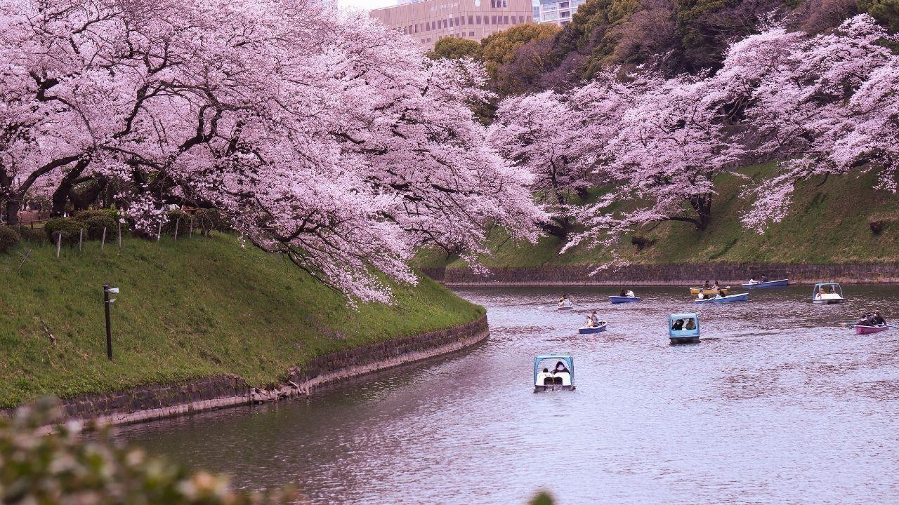 Best Countries to Travel for Your First International Trip
