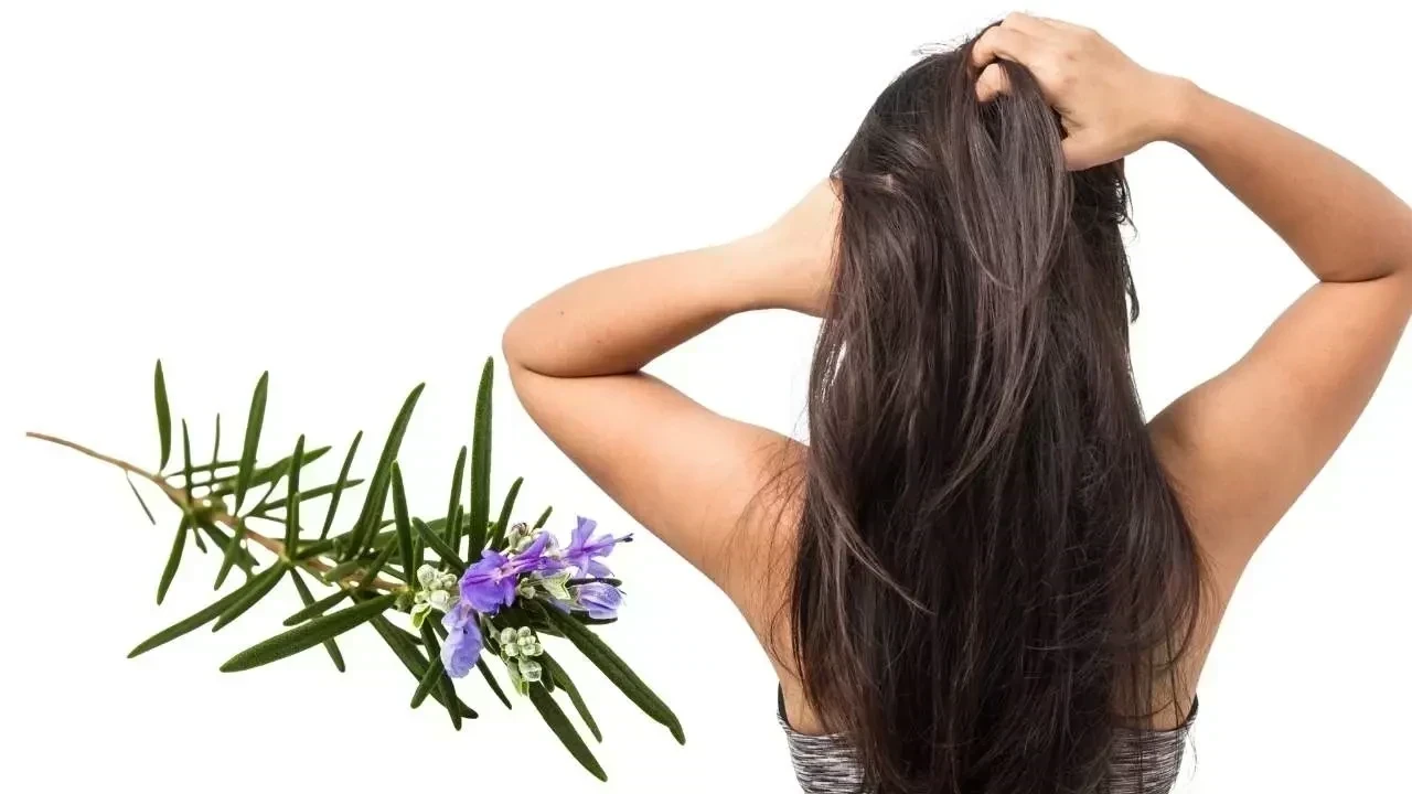 Rosemary to Scalp Scrub: Hair Growth Trends That Actually Work