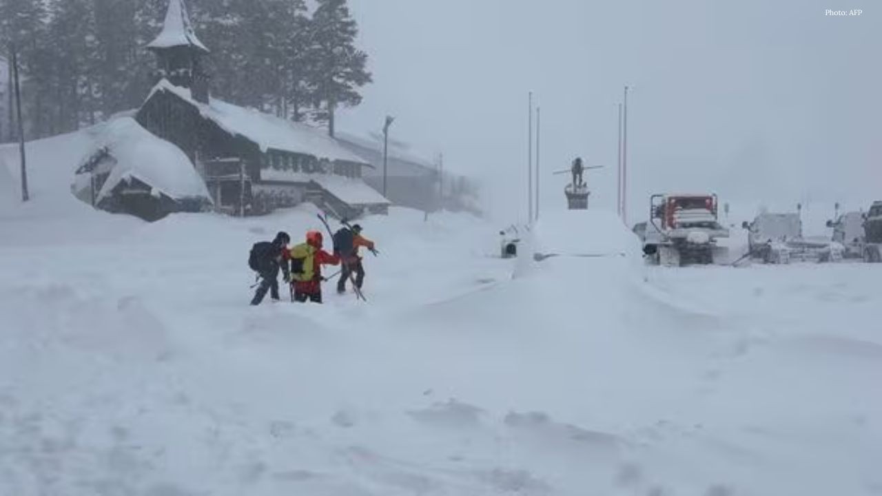 California Avalanche Bodies of All 9 Victims Recovered