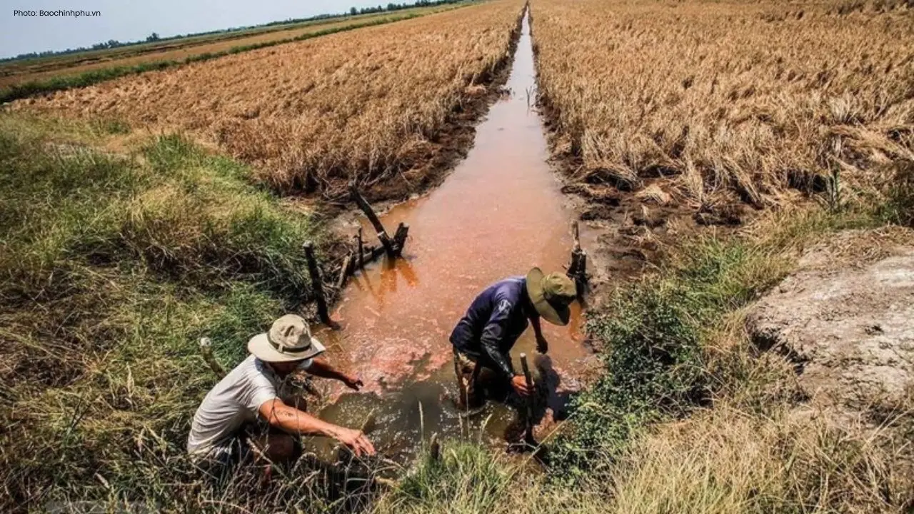 Saltwater Threat Looms Over Mekong Delta