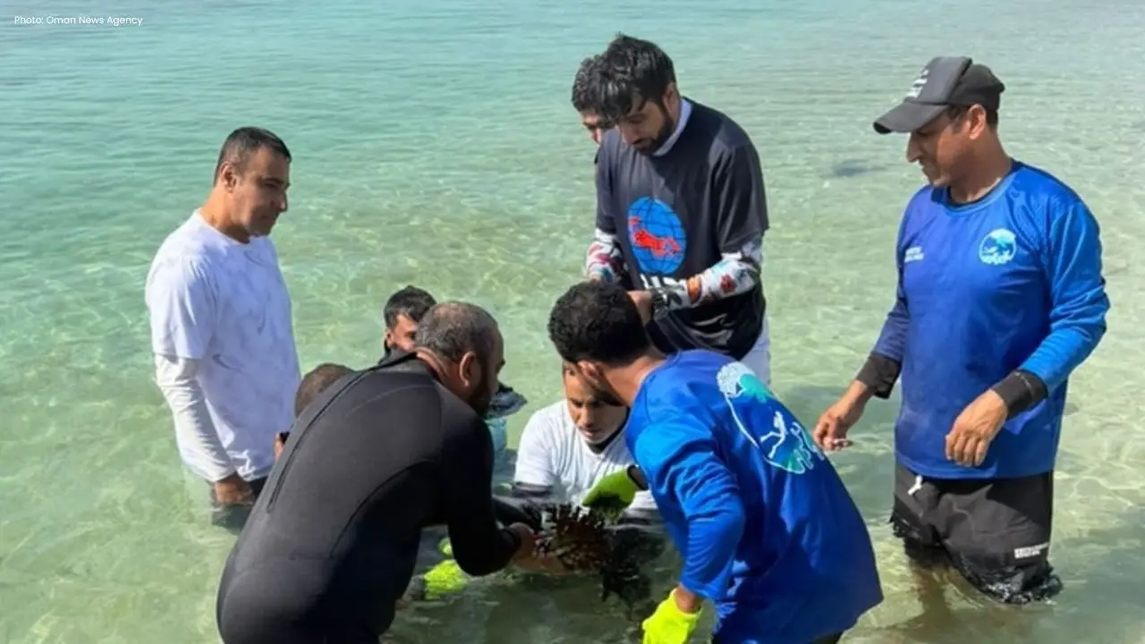 Dubai's Coral Rehabilitation Effort Begins in Oman
