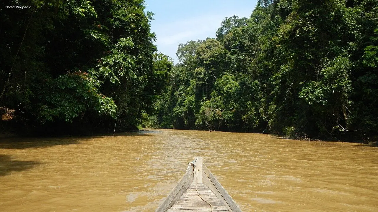 Sungai Muda's Water Levels Stabilize After Recent Rain