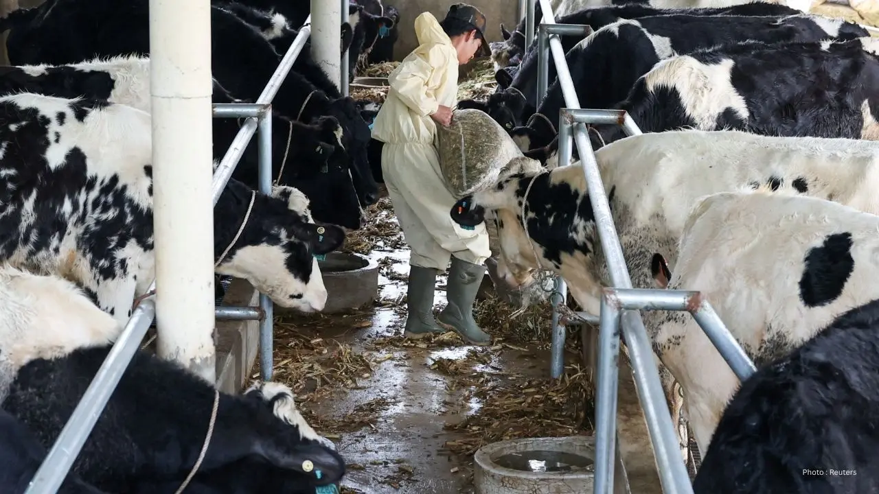 Ontario's Exciting New 6% Fat Milk Takes the Dairy Market by Storm