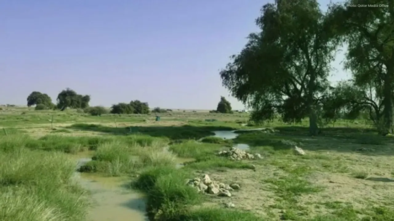International Biodiversity Day 2026: UNESCO Warns of Nature Loss