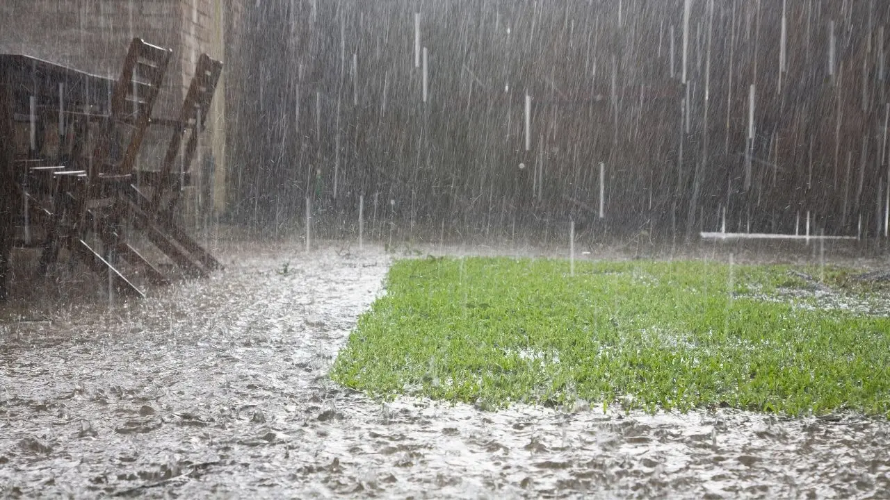 Cool Breezes Follow Delhi's Heavy Rains