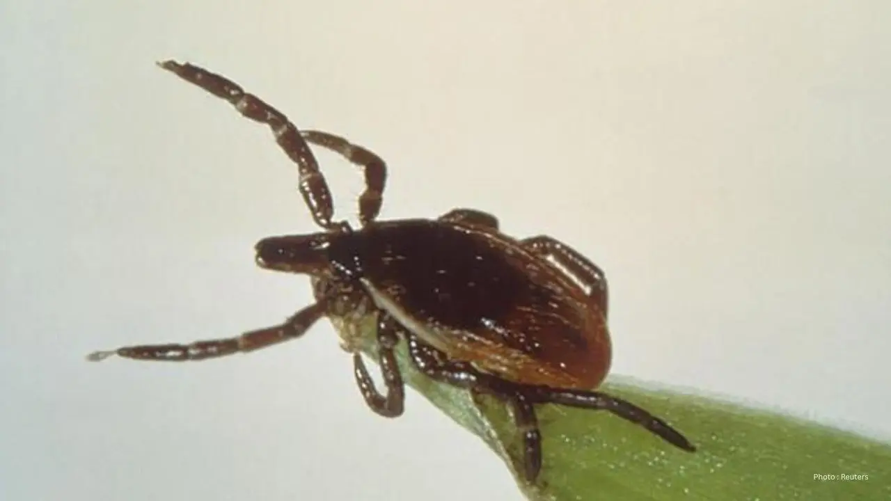 Stay Safe This Spring: Tips to Prevent Tick Bites